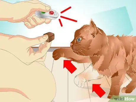 Image titled Teach a Cat to "High Five" Step 9